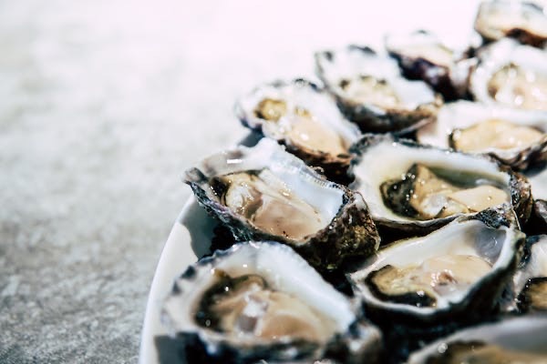 Normandische Fine de Claires oesters